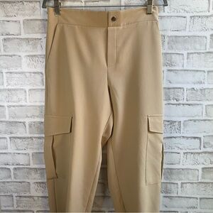 Zara Tan Jogger Pants